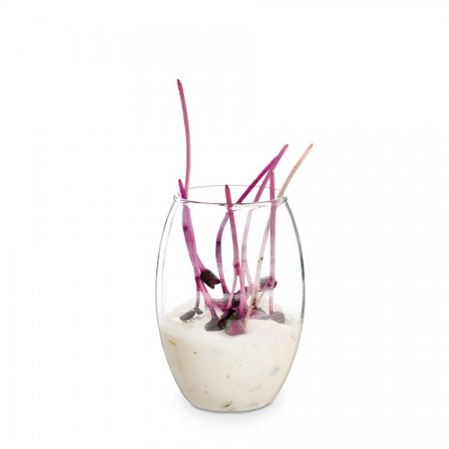 Comatec Coctail Line -"Oveo" glass 60ml, кутия с 12 броя съдчета Comatec Coctail Line -"Oveo" glass 60ml, кутия с 12 броя съдчета