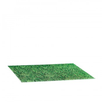 Comatec Display - Zebra placemat, кутия с 4 броя подложки